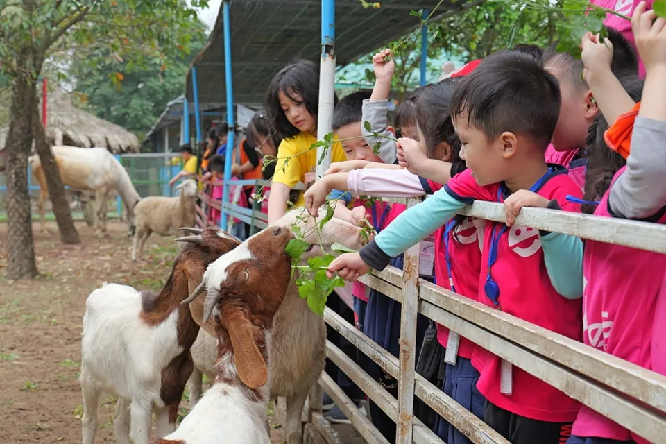 Các bé hóa thân thành "Nông dân tí hon" và nhiều hoạt động mới lạ