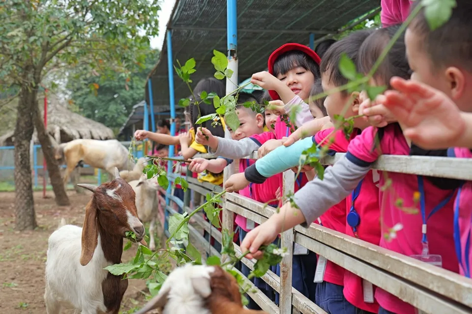 Các bé hóa thân thành "Nông dân tí hon" và nhiều hoạt động mới lạ